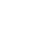 syicon5.svg