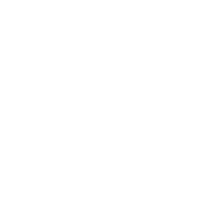 syicon6.svg