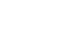 syicon7.svg